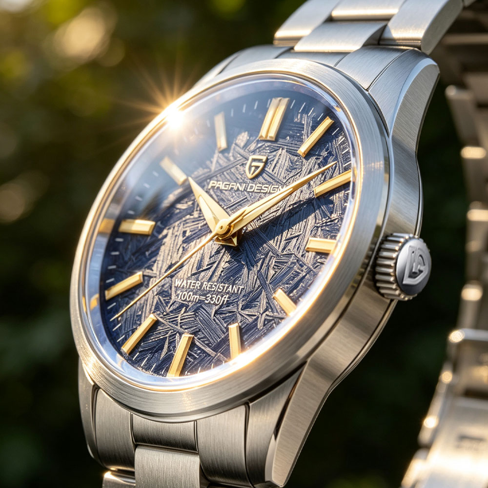 Jewelry For Watches - PAGANI DESIGN Jam Tangan Quartz Pria